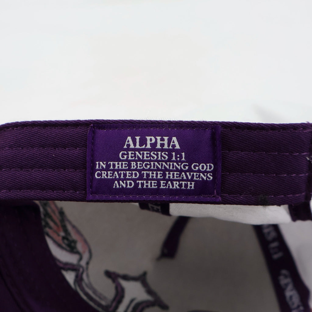 ALPHA - The Beginning Snapback